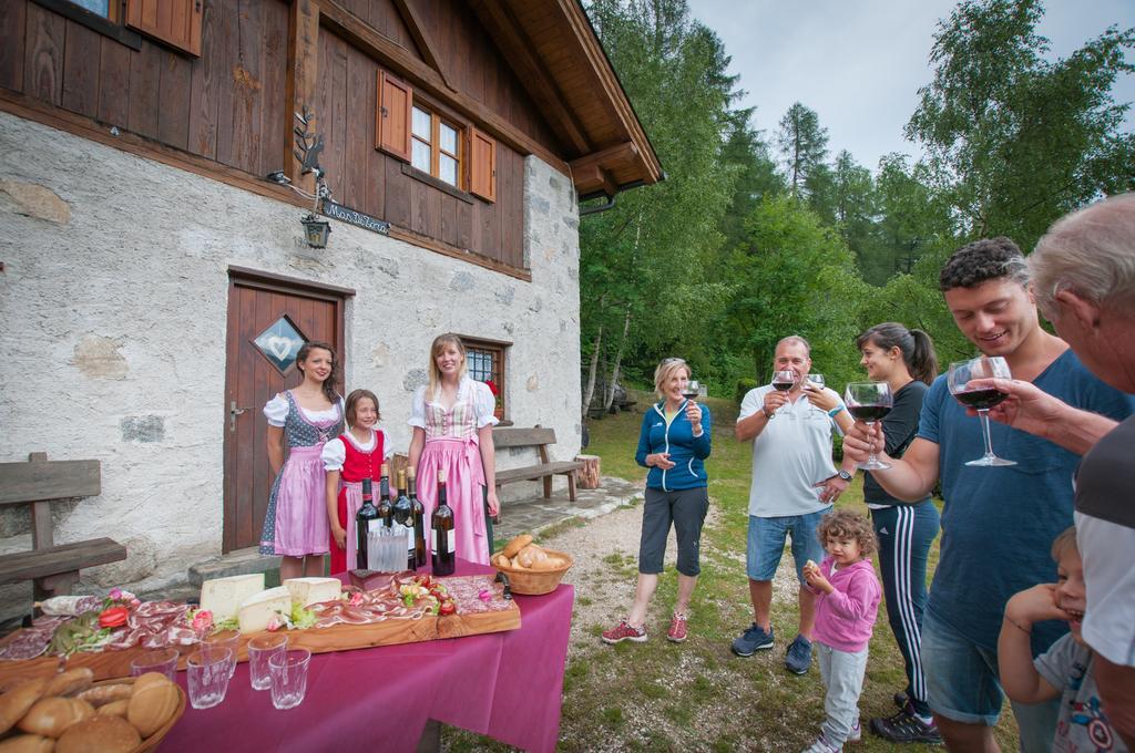 Hotel Val Di Sole ميتزانا المظهر الخارجي الصورة